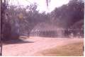 Previous
